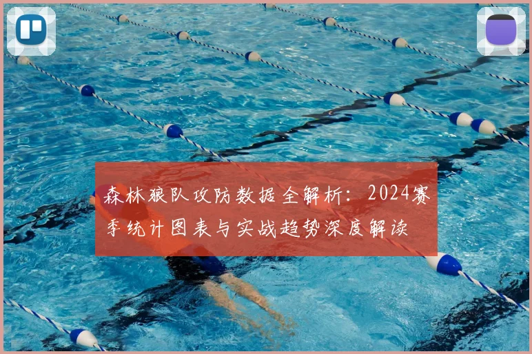 森林狼队攻防数据全解析：2024赛季统计图表与实战趋势深度解读
